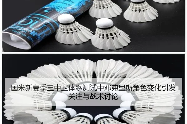 国米新赛季三中卫体系测试中邓弗里斯角色变化引发关注与战术讨论